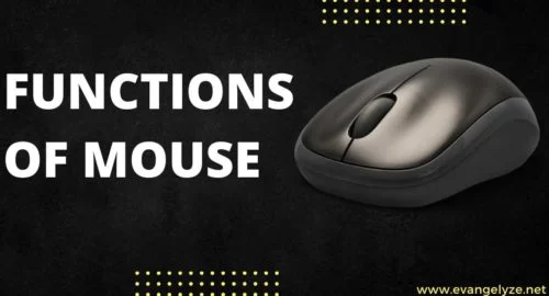 functions of mouse
